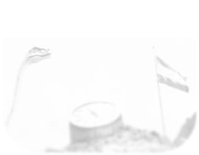 Seasoned olives (Zeytoon Parvardeh)